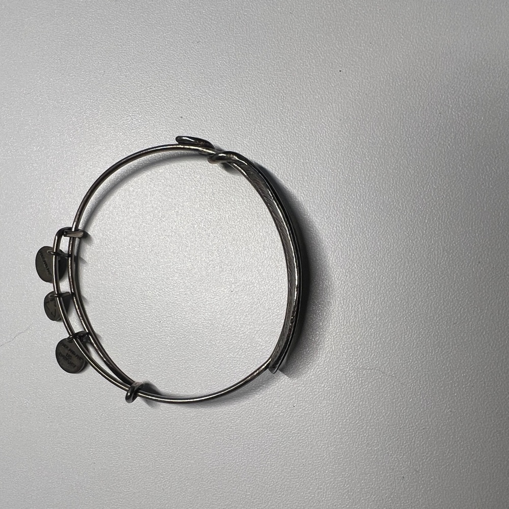 Alex and Ani Silver Feather Bangle Bracelet - Picture 3 of 3